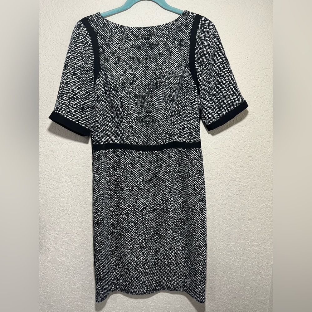 The Limited Dress